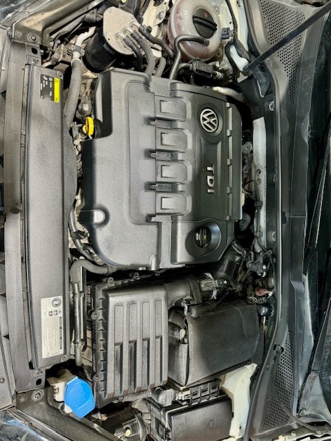 VOLKSWAGEN GOLF VII 1.6 TDI EDITION