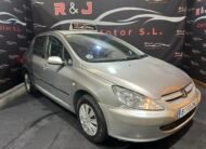 PEUGEOT 307 1.6 xt